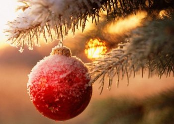 Yılbaşı Sofya Turu